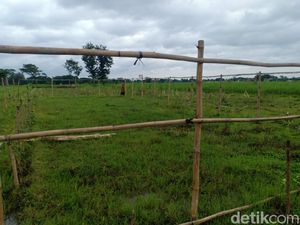 Siapa Sosok Pembeli Lahan di Madiun yang Akan Dibangun Pasar Muamalah?