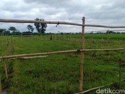 Siapa Sosok Pembeli Lahan di Madiun yang Akan Dibangun Pasar Muamalah?