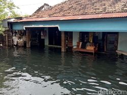 Berita Terbaru Seputar Bencana Banjir di DKI Jakarta Hari Ini