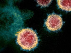 Sejumlah Jenis Baru Virus Corona Mengkhawatirkan Tapi Para Pakar Optimis