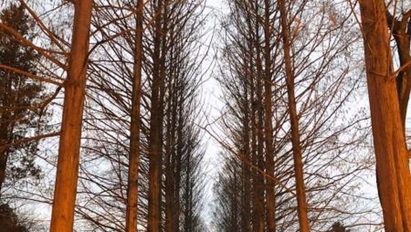 10 Destinasi Wajib Saat Liburan ke Korea Selatan