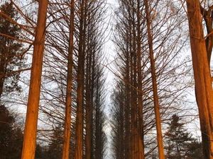 10 Destinasi Wajib Saat Liburan ke Korea Selatan