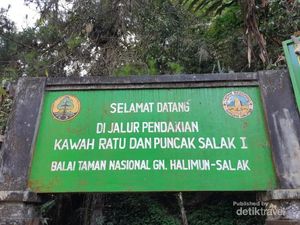 10 Tips Mendaki Gunung Salak yang Aman dan Nyaman
