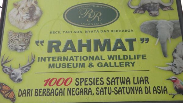 1.000 Satwa dari Berbagai Negara Ada di Museum Rahmat, Medan