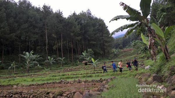 3 Curug Cantik Untuk Liburan di Tenjolaya, Bogor