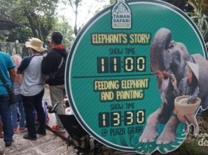 6 Show Wajib Saat Plesir ke Taman Safari II Prigen