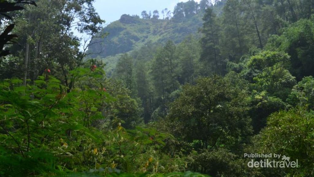 Ada Air Terjun Secantik Ini di Kawasan Dago Atas, Bandung Ada Air Terjun Secantik Ini di Kawasan Dago Atas, Bandung