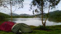 Ada Emas di Puncak Sikunir