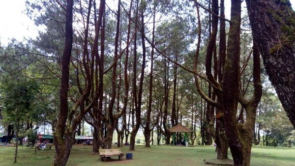 Ada Gua Dilengkapi Coffee Shop di Purbalingga, Tahu?