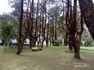 Ada Gua Dilengkapi Coffee Shop di Purbalingga, Tahu?