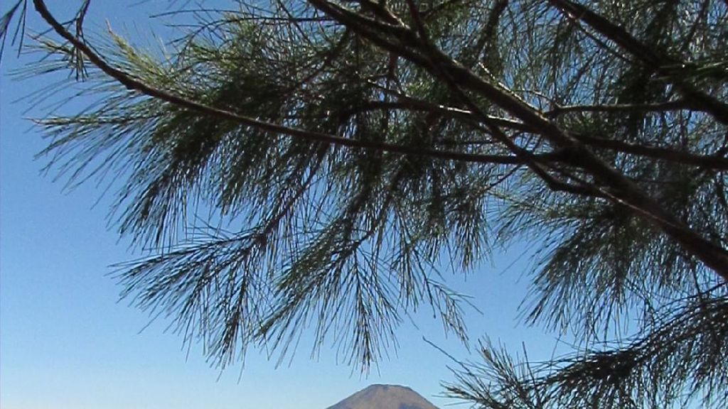 Ada Negeri Atas Awan di Gunung Sumbing Ada Negeri Atas Awan di Gunung Sumbing