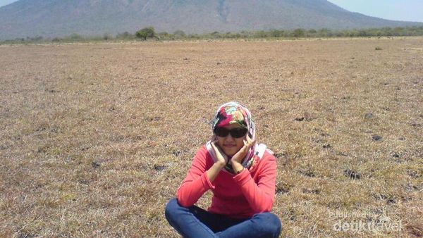 Africa Van Java Ada di Situbondo