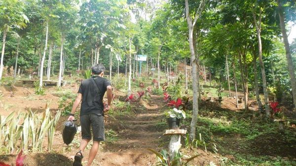 Air Terjun Penuh Kenangan di Kaki Gunung Dempo