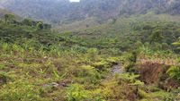 Air Terjun Tancak, Kenyamanan Tiada Dua di Jember