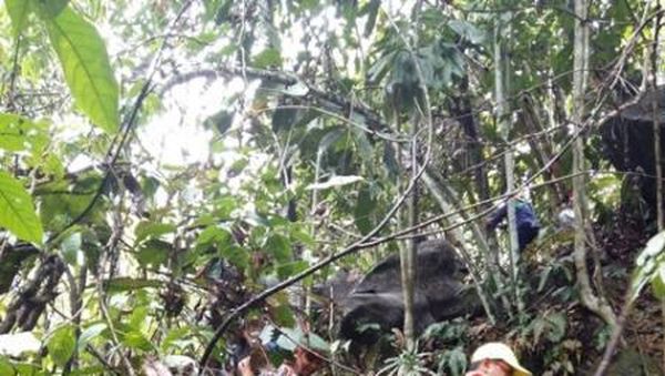 Air Terjun Tersembunyi di Kutai Timur
