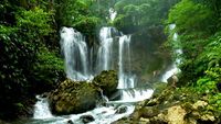 Air Terjun Wabudori: Hadiah Menyusur Sungai dan Trekking di Hutan