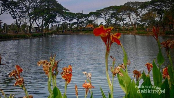 Akhir Pekan Bareng Keluarga di Kebun Bibit Wonorejo