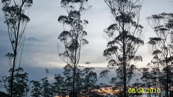 Akhir Pekan Ini, Coba Kemping di Ranca Upas