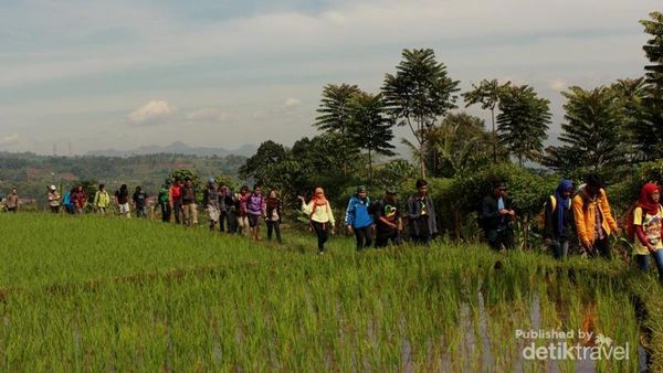 Akhir Pekan Ini, Rasakan Serunya Daki Gunung Rakutak di Bandung