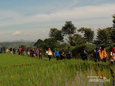 Akhir Pekan Ini, Rasakan Serunya Daki Gunung Rakutak di Bandung