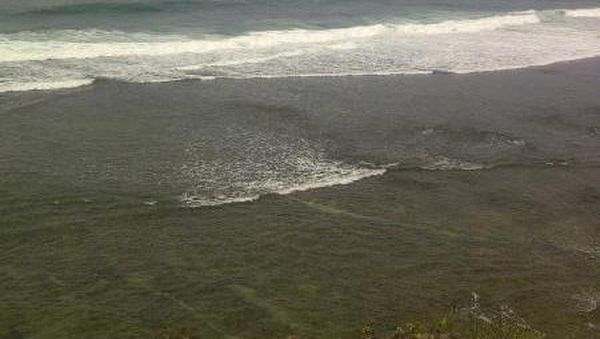 Akhir Pekan Seru di Pantai Indrayanti