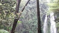 Akhir Pekan Seru ke Air Terjun di Kaki Gunung Lawu