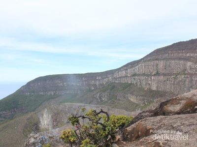 Akhir Pekan Seru Mendaki Gunung Gede