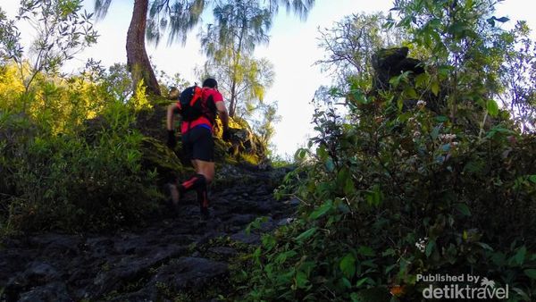Akhir Pekan Seru, Sky Running di Gunung Lawu!