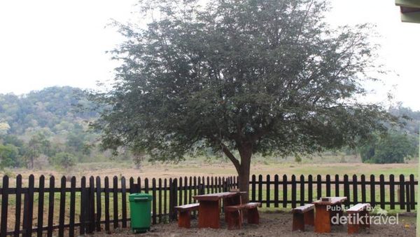 Alas Purwo, Potret Primadona Wisata Alam Banyuwangi