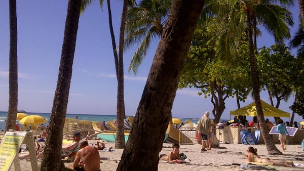 Aloha! Mentari, Bikini, dan Indahnya Pantai di Hawaii