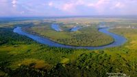 Amazon? Bukan, Ini Ketapang di Kalimantan Barat