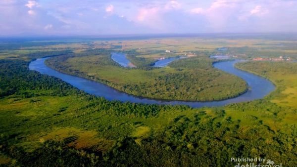 Amazon? Bukan, Ini Ketapang di Kalimantan Barat