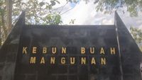 Amazon? Bukan, Ini Sungai Oya di Kabupaten Bantul