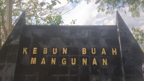 Amazon? Bukan, Ini Sungai Oya di Kabupaten Bantul