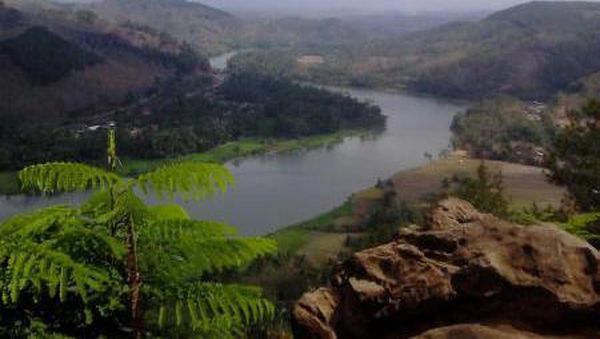Amazon? Bukan, Ini Sungai Serayu di Banyumas