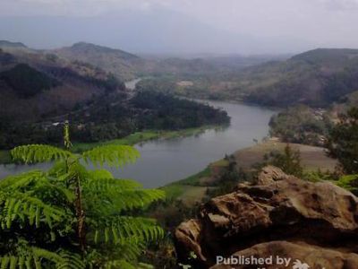 Amazon? Bukan, Ini Sungai Serayu di Banyumas