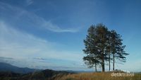 Aneka Bukit Dengan View Keren di Sumatera Barat