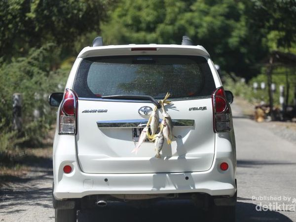 Aneka Fakta Unik Tentang Timor Leste