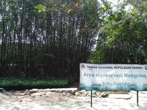 Aneka Potensi Pulau Pramuka Jakarta, Ini Potretnya