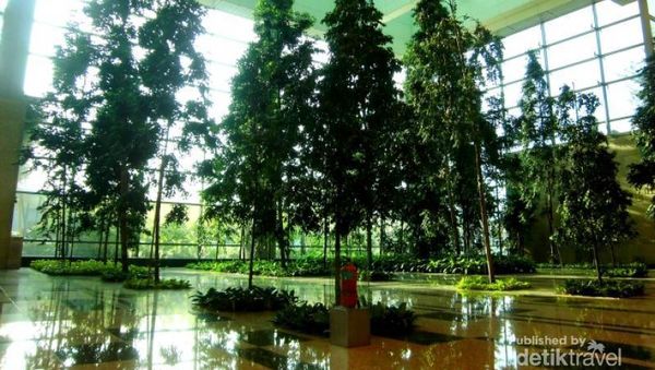 Asrinya Pepohonan di Bandara Changi, Singapura