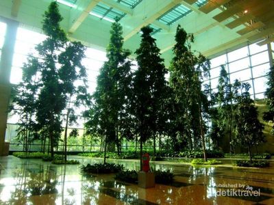 Asrinya Pepohonan di Bandara Changi, Singapura