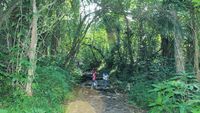 Asrinya Suasana di Curug Cibeureum