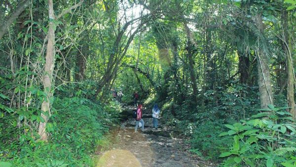 Asrinya Suasana di Curug Cibeureum