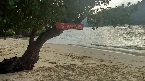 Asyik! Snorkeling di Pantai Tiga Warna Malang