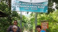Asyiknya Bermain dengan Rusa di Bogor