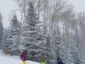 Asyiknya Main Ski di Steamboat Springs