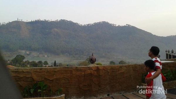 Asyiknya Wisata Keluarga di Kota Batu