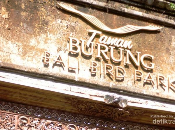 Atraksi Burung Lucu di Bali Bird Park