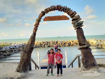 Awas! Jangan Pernah Beri Penyu Makan