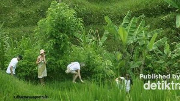 Bali, Surganya Tempat Liburan